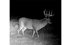 Lake County, Indiana wildlife - LAND AUCTION - 147+/- ACRES OFFERED IN 3 TRACTS IN LAKE COUNTY, INDIANA